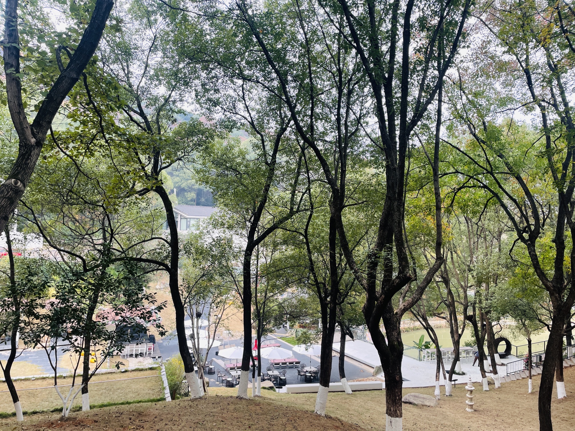 雨母山风景区旅行图片 2