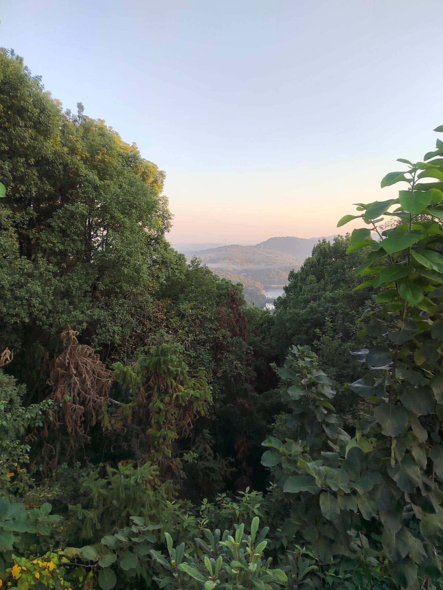 雨母山风景区旅行图片 2