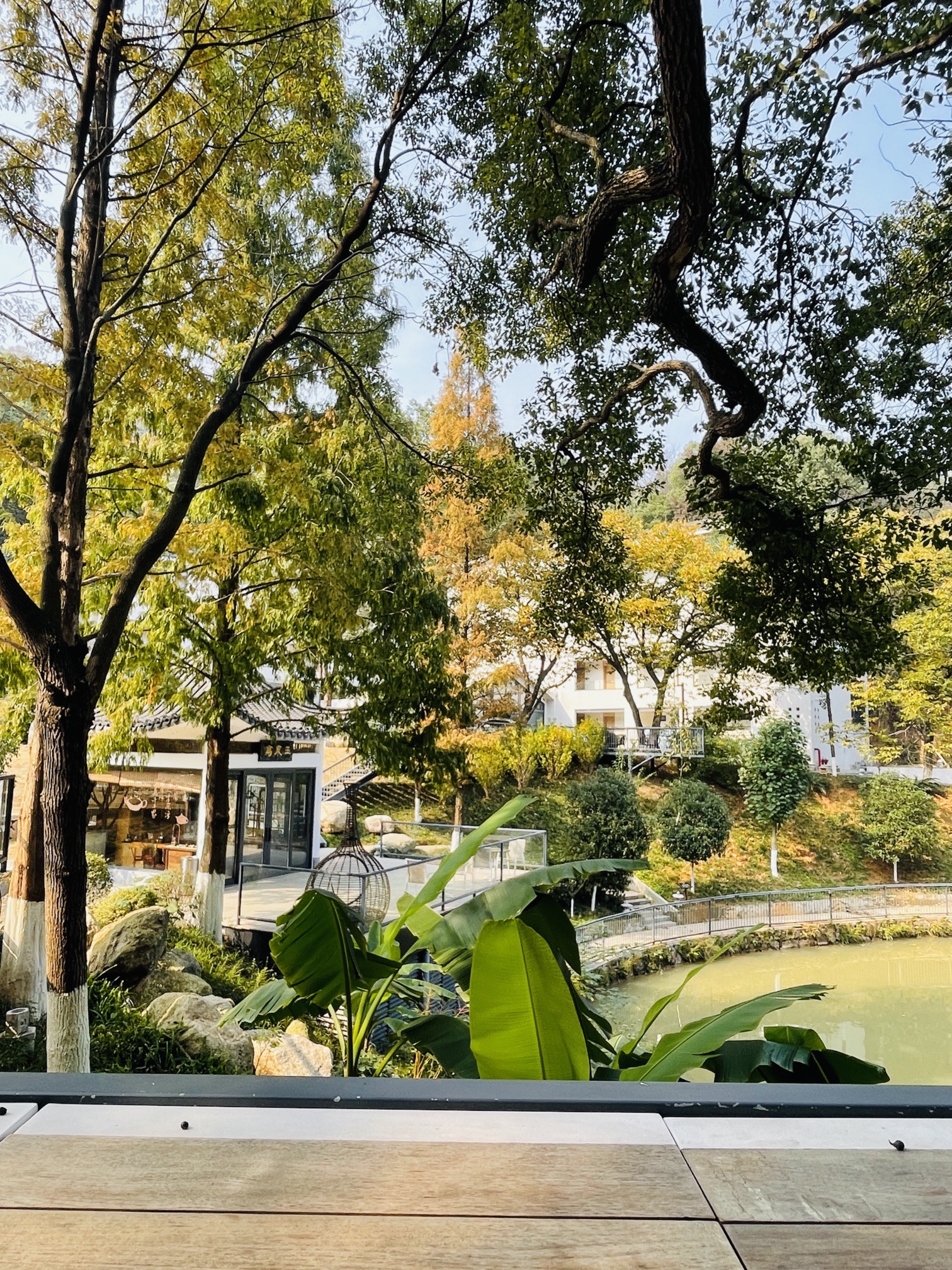 雨母山风景区旅行图片 1