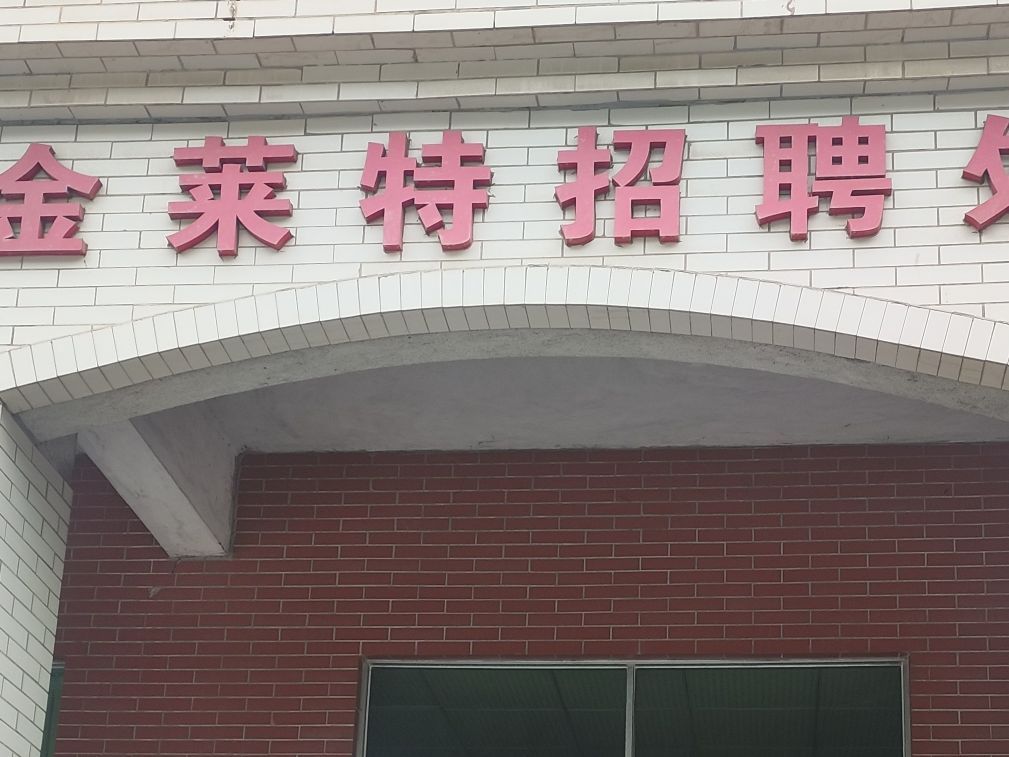 金莱特招聘处