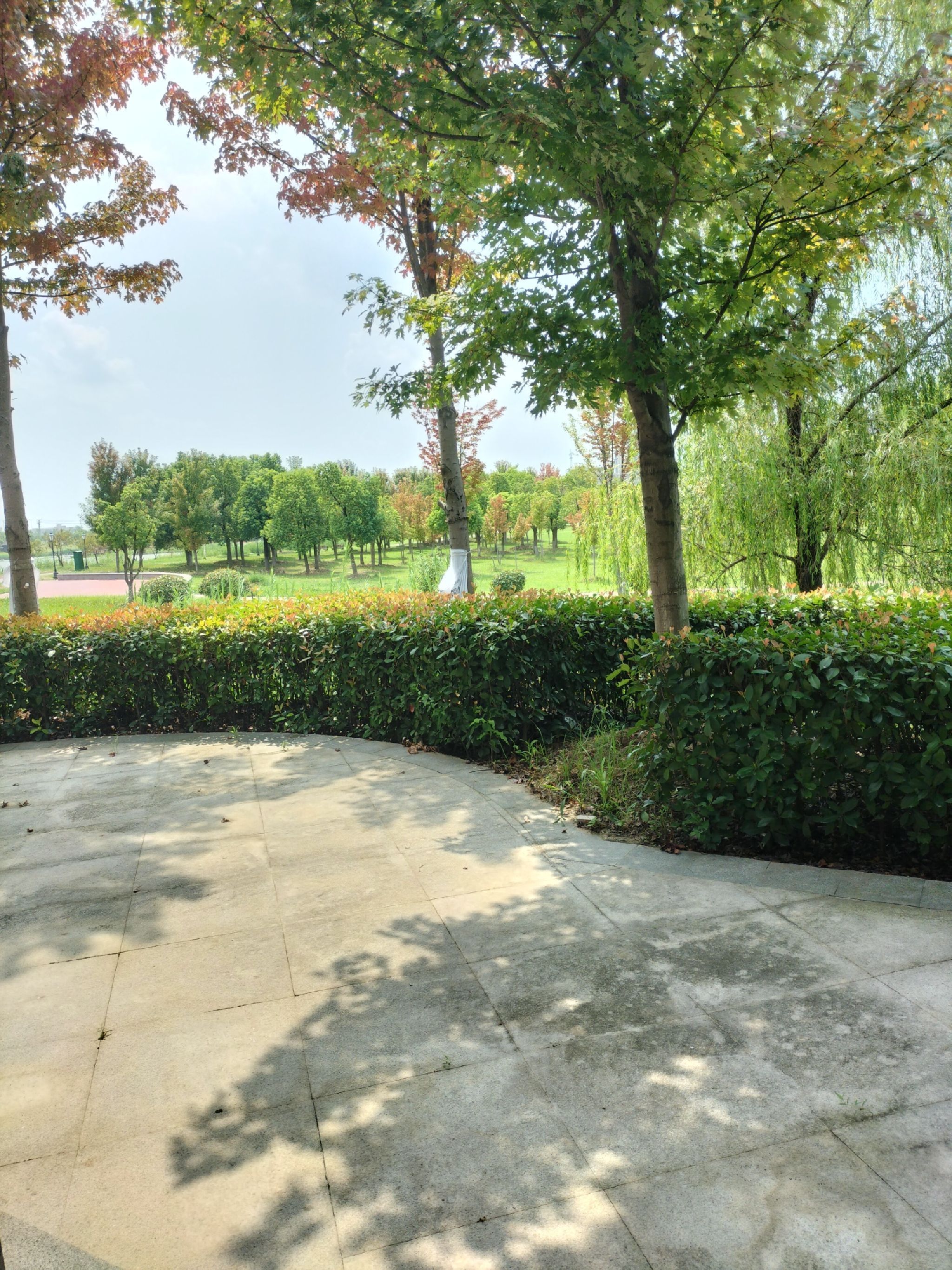 未来城市公园旅行图片 1
