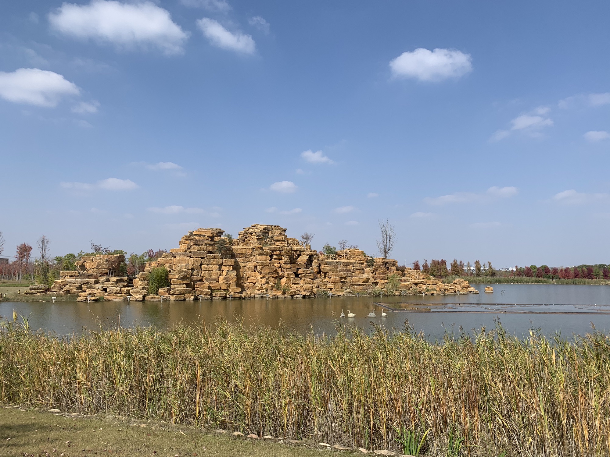 未来城市公园旅行图片 1