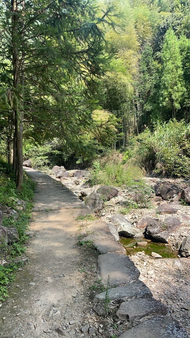浙江仙居淡竹休闲谷旅行图片 3