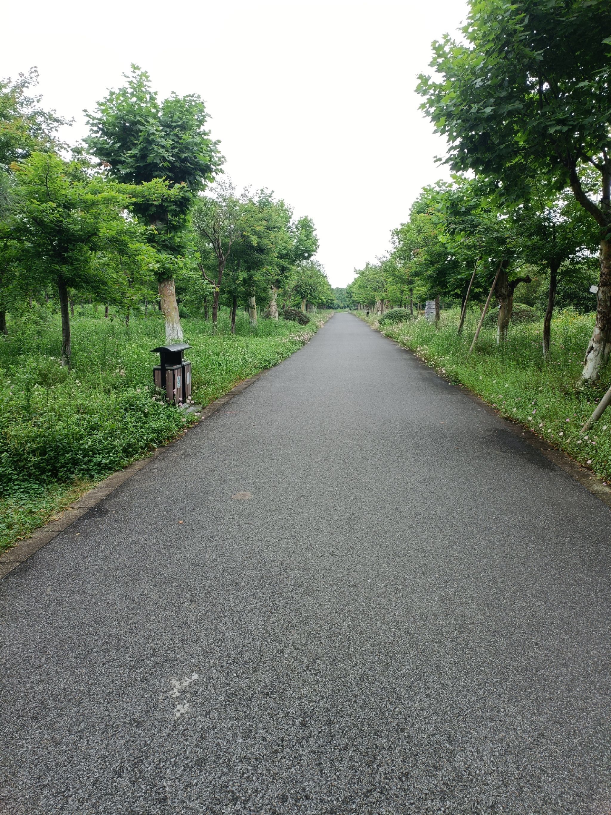 衢州城市森林公园旅行图片 2