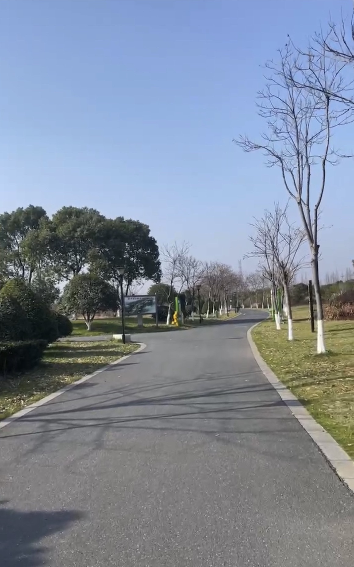 衢州城市森林公园旅行图片 2