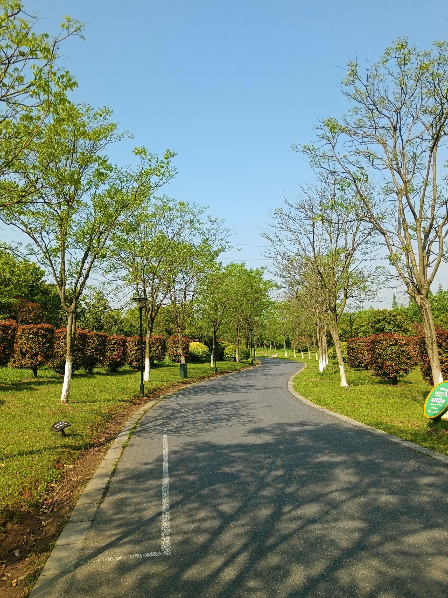 衢州城市森林公园