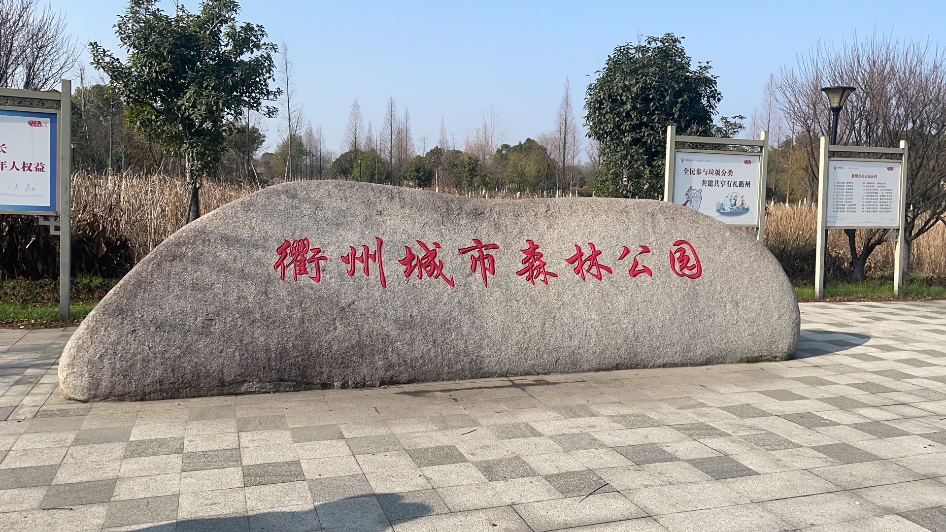 衢州城市森林公园旅行图片 1
