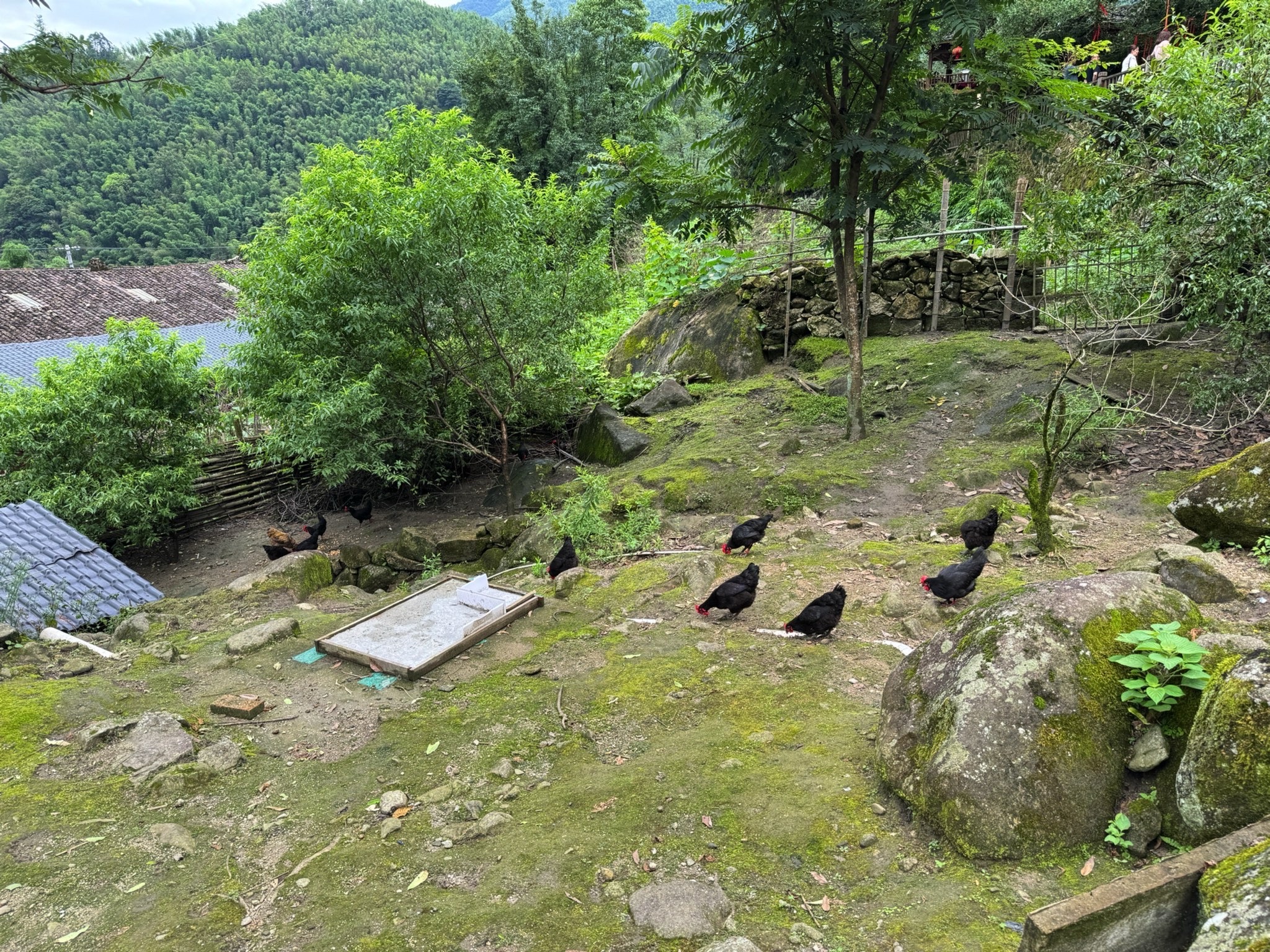 南惹古村旅行图片 2