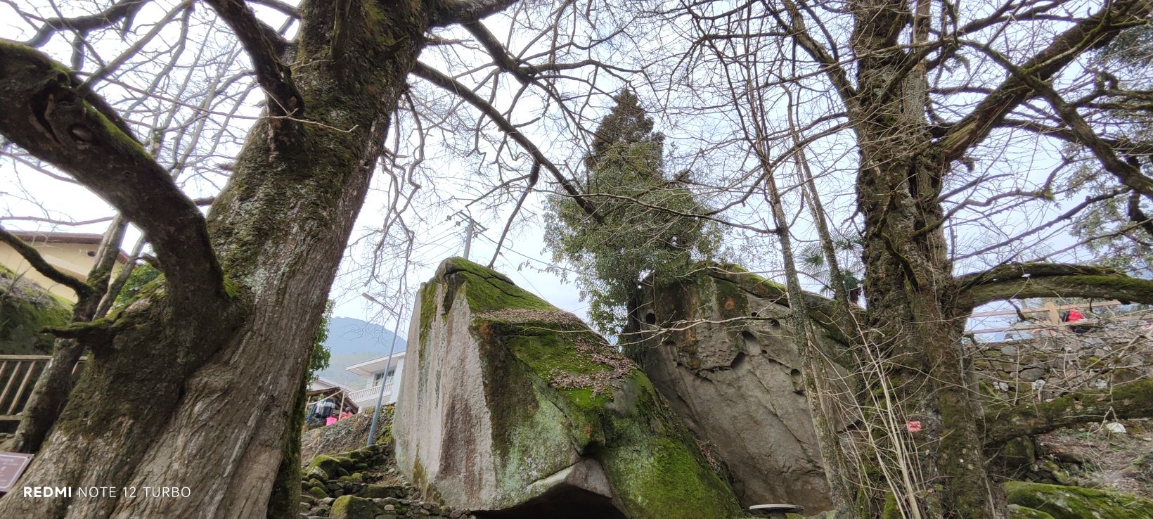南惹古村旅行图片 1