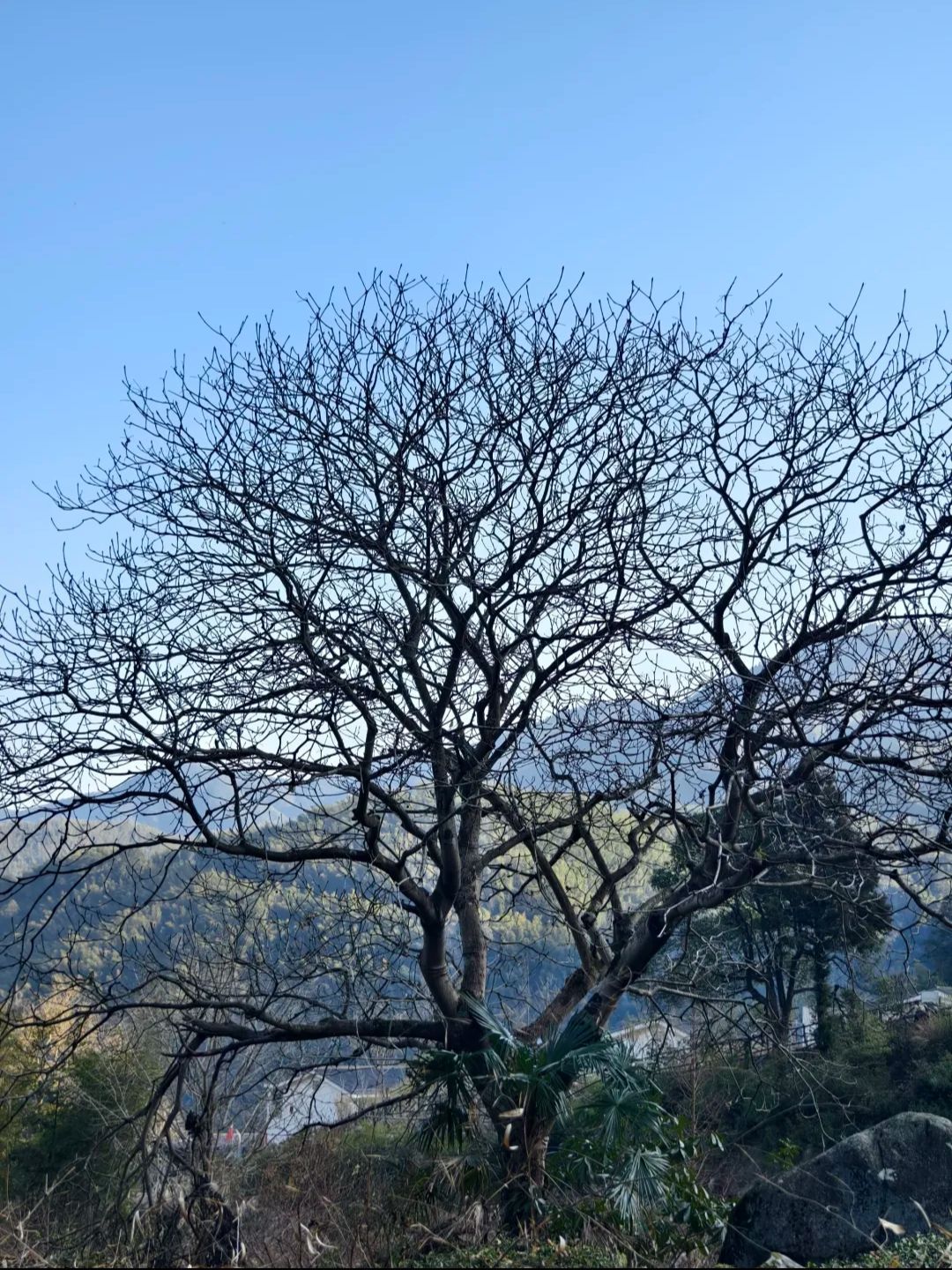 南惹古村旅行图片 2