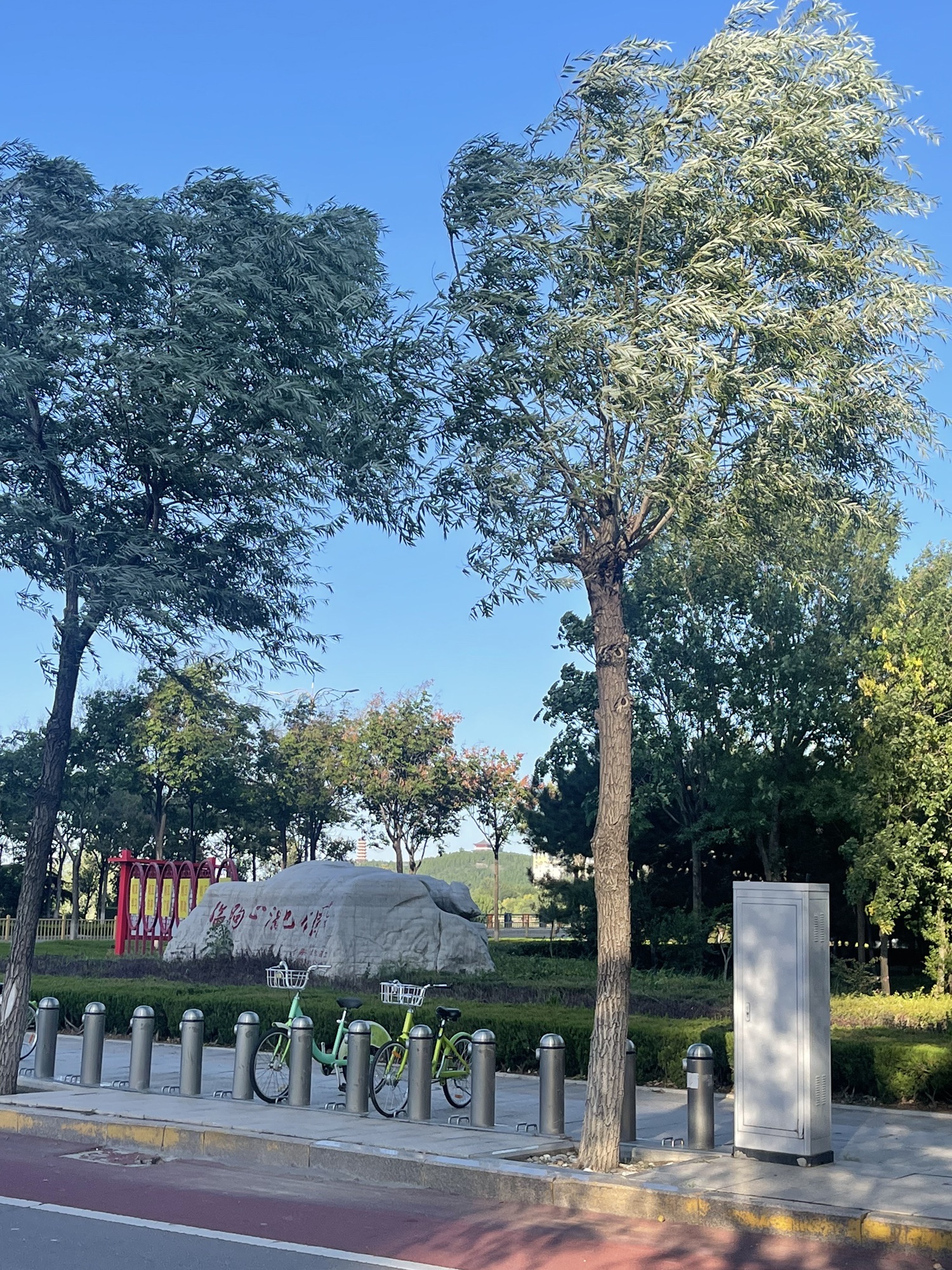 临朐县同心湿地公园旅行图片 2