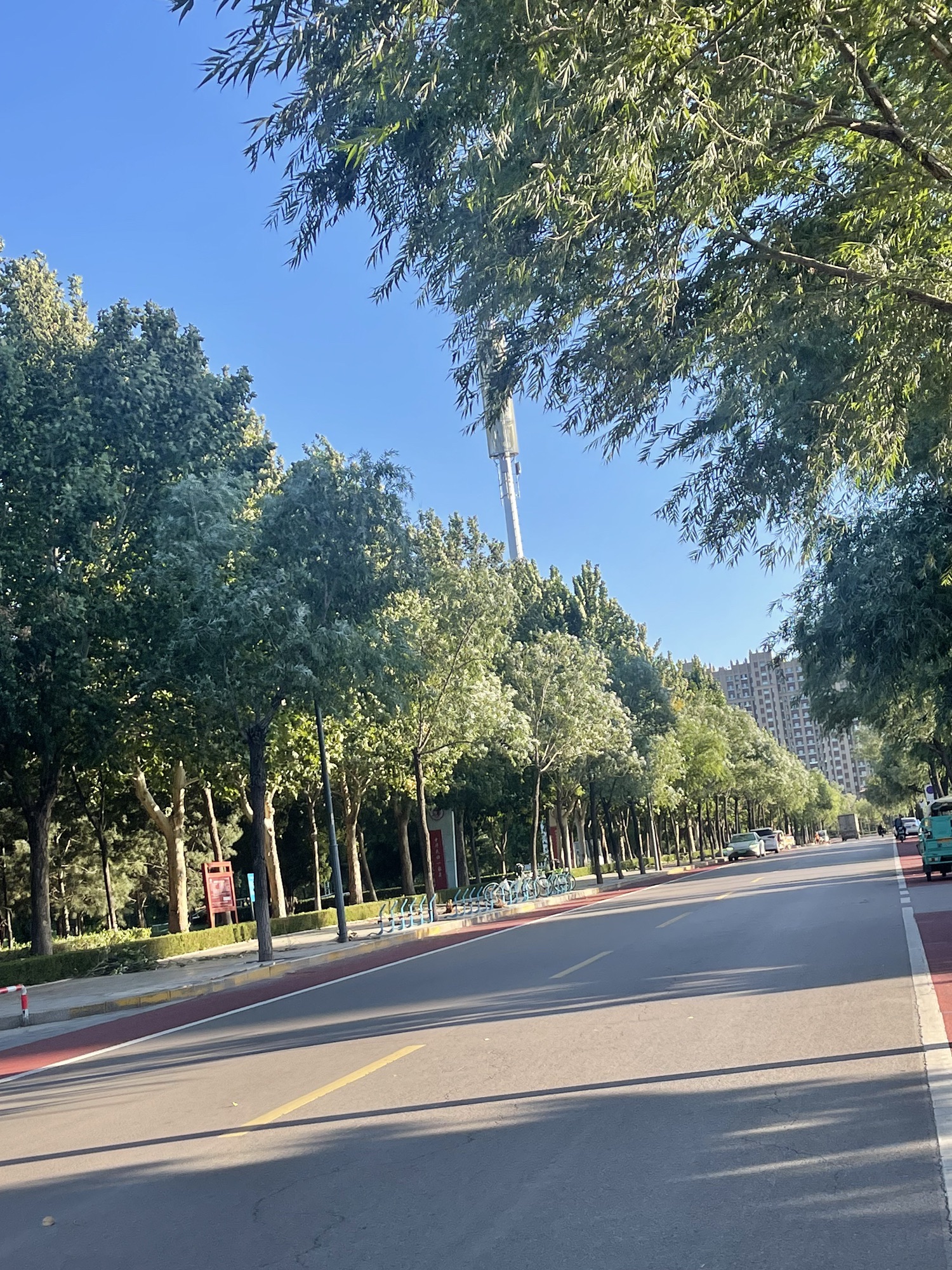 临朐县同心湿地公园旅行图片 3