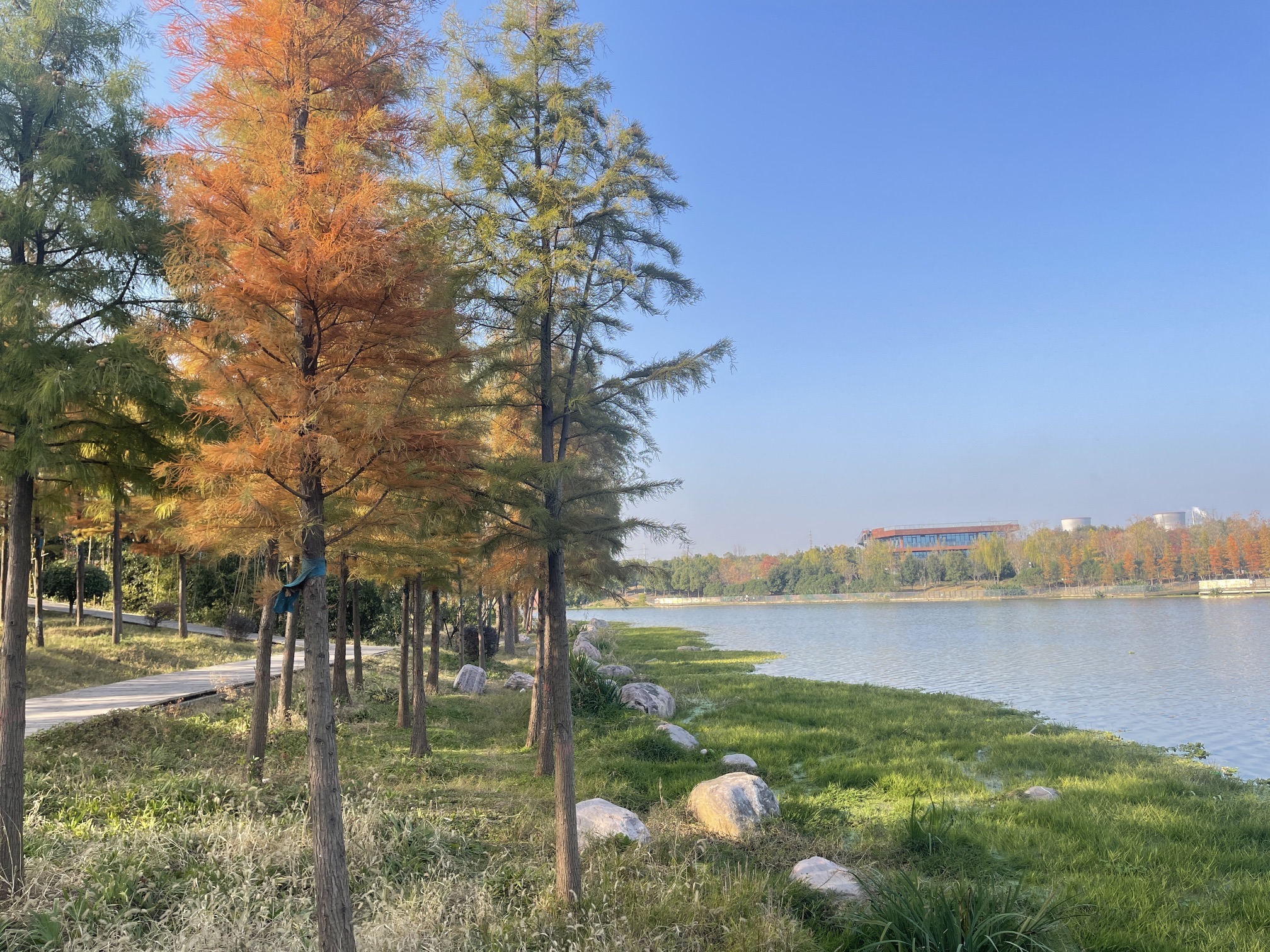 滨河公园旅行图片 2