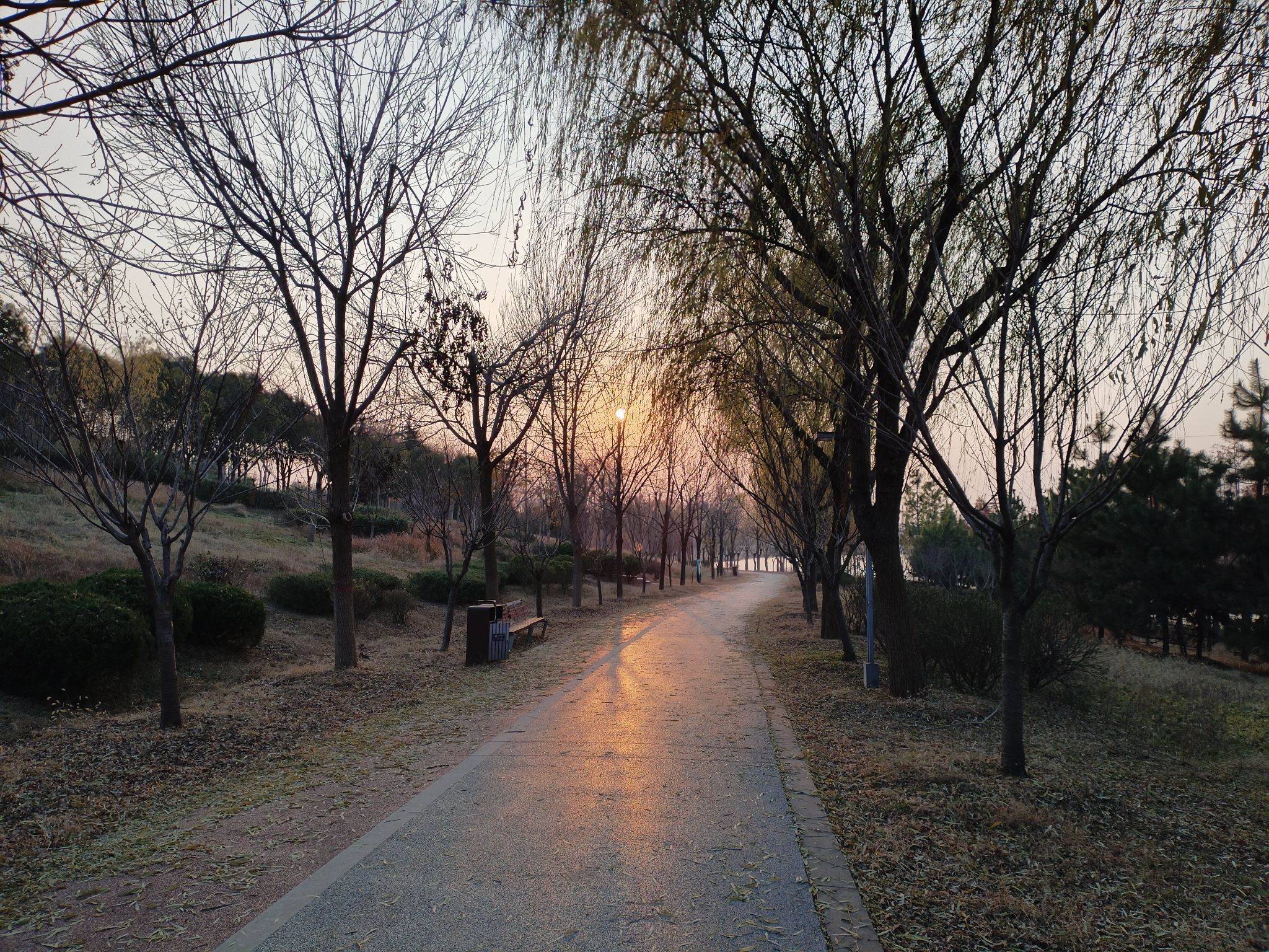 滨河公园旅行图片 3