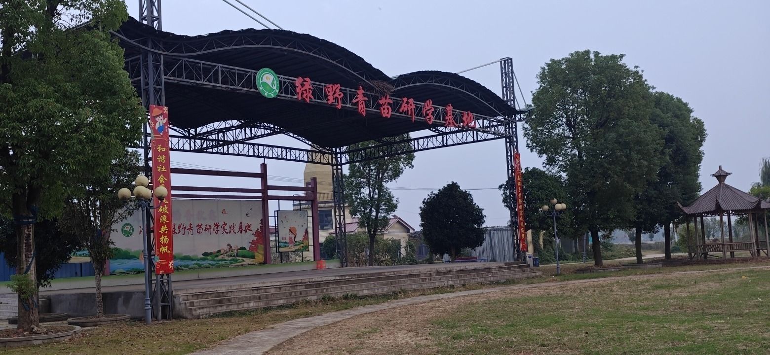 青苗社区腊八节广场旅行图片 3