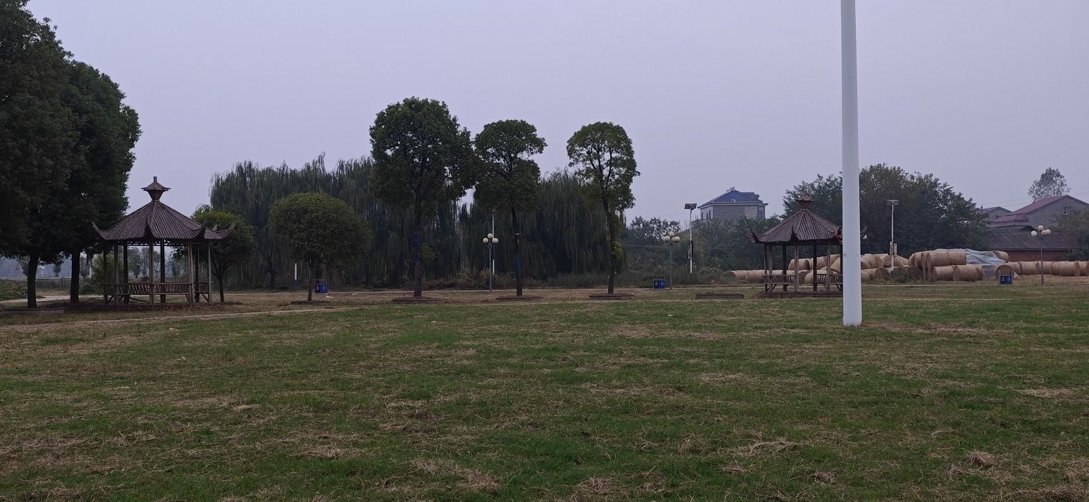 青苗社区腊八节广场旅行图片 2