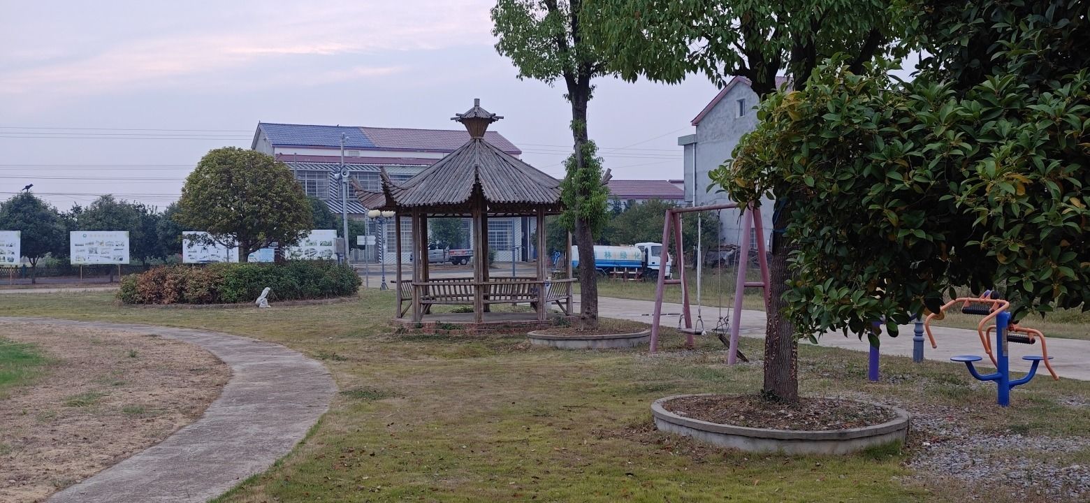 青苗社区腊八节广场旅行图片 1
