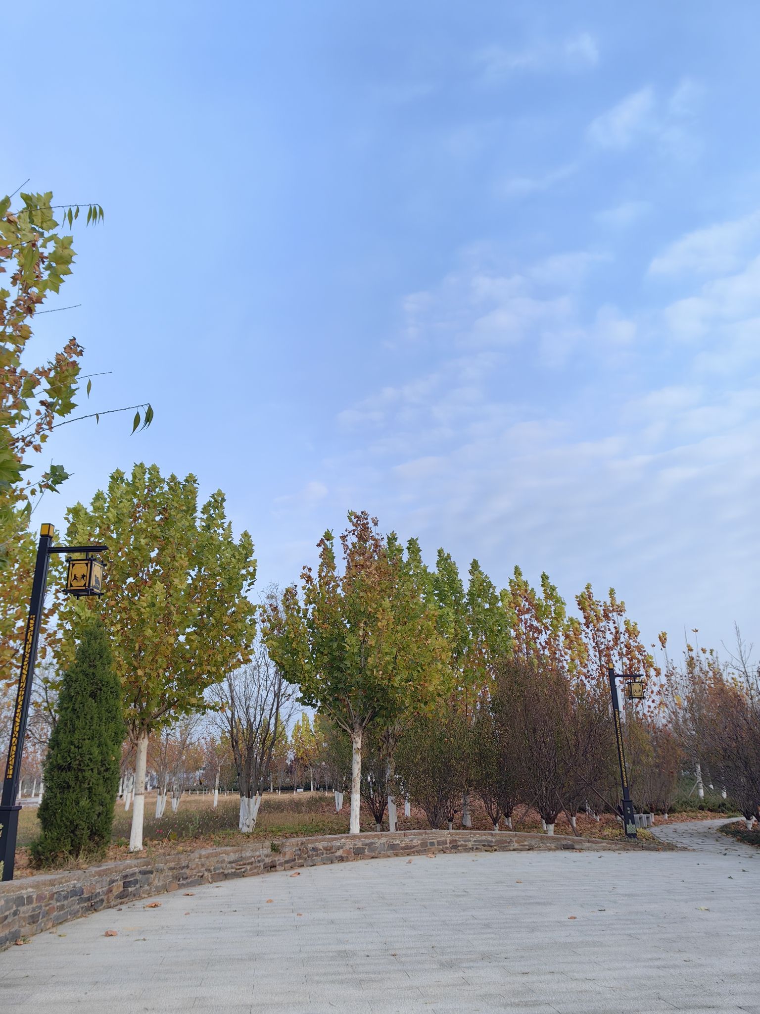 运河公园旅行图片 3