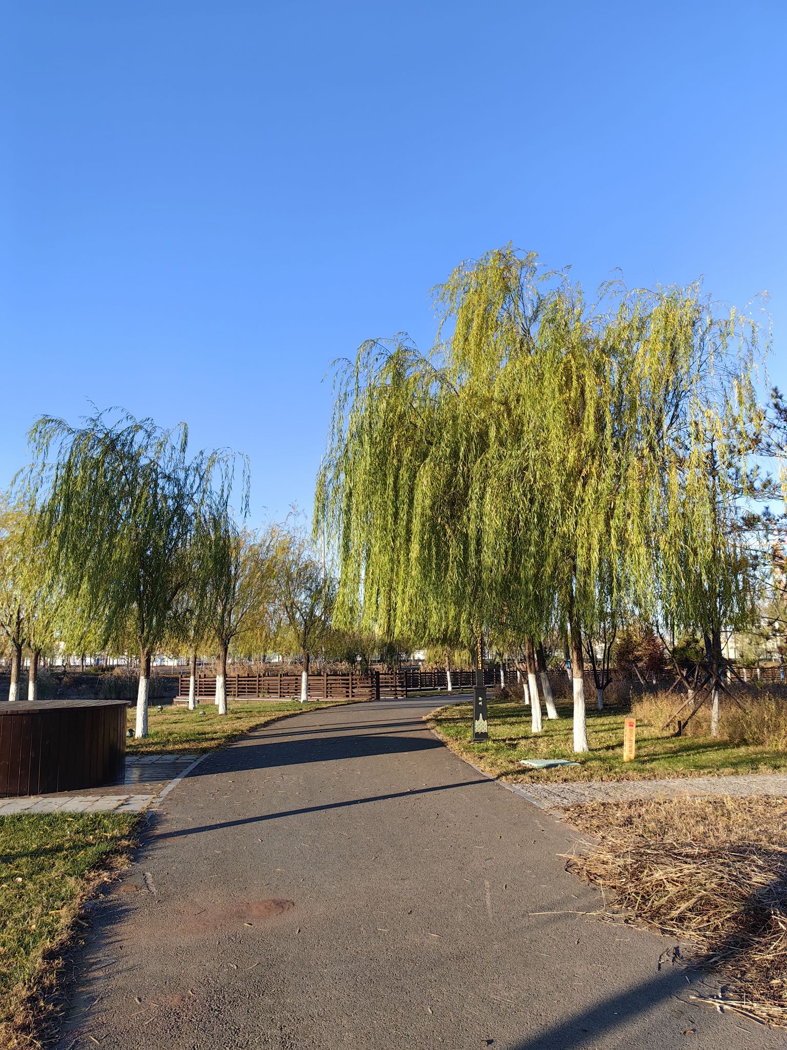 运河公园旅行图片 1