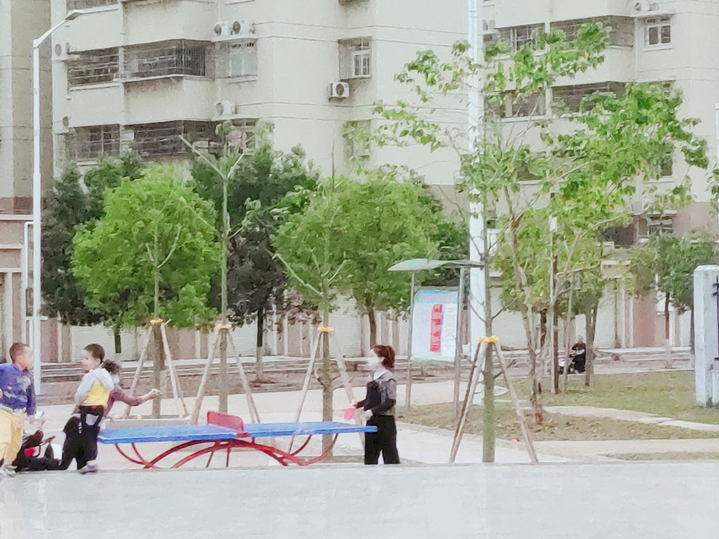 山稔花公园旅行图片 2