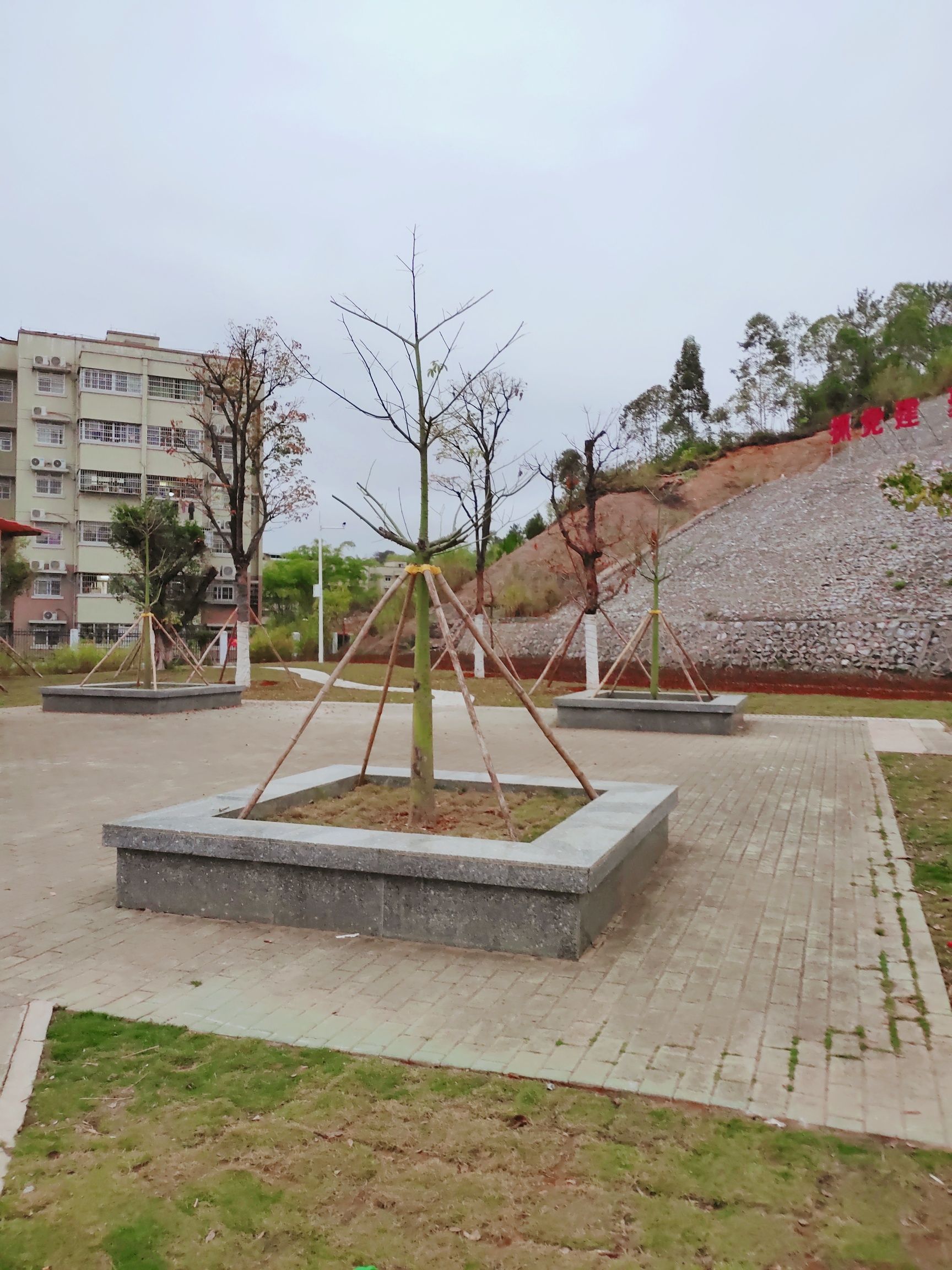 山稔花公园旅行图片 1