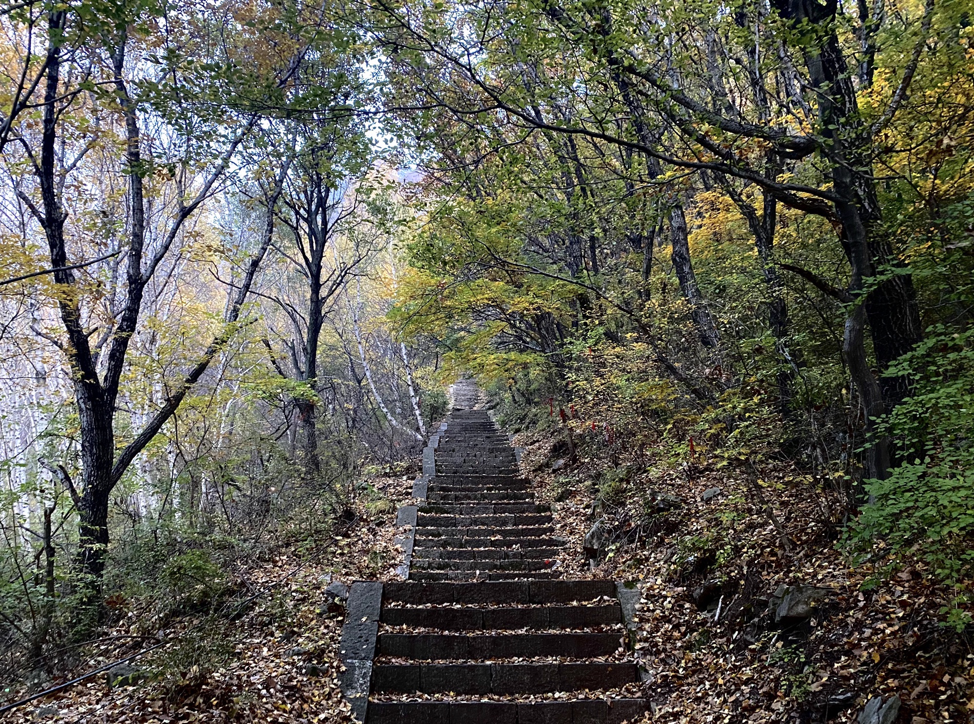 广志山景区旅行图片 2