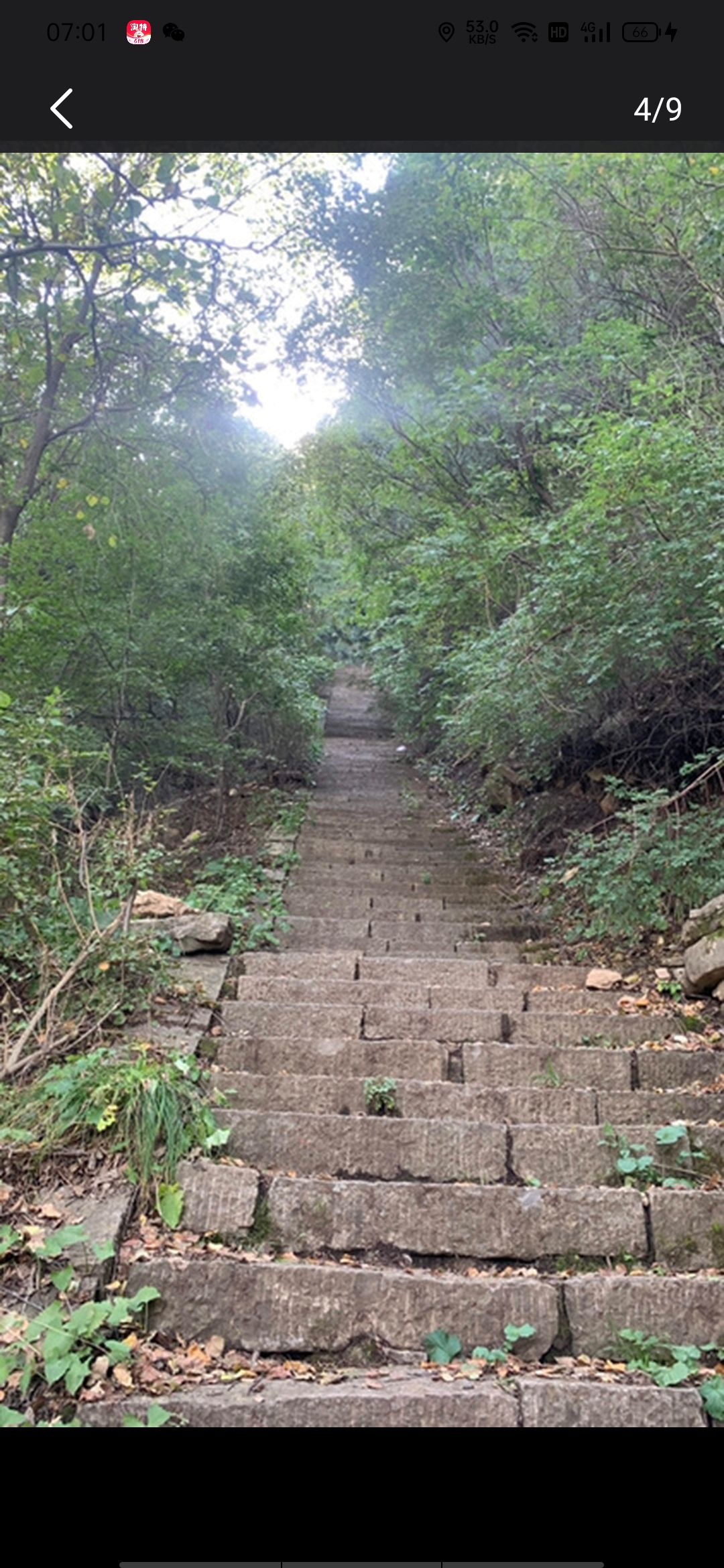 广志山景区旅行图片 3