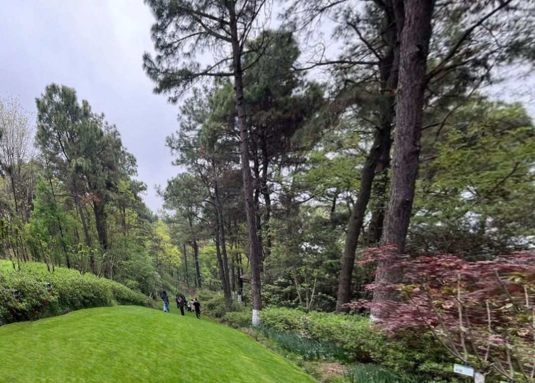 仑山湖旅行图片 2