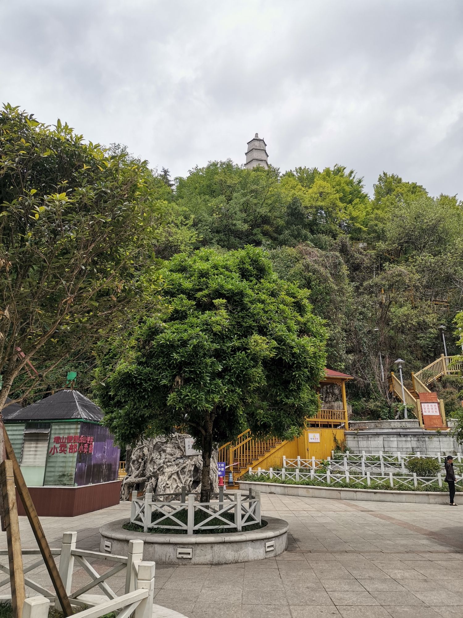 塔山公园旅行图片 3