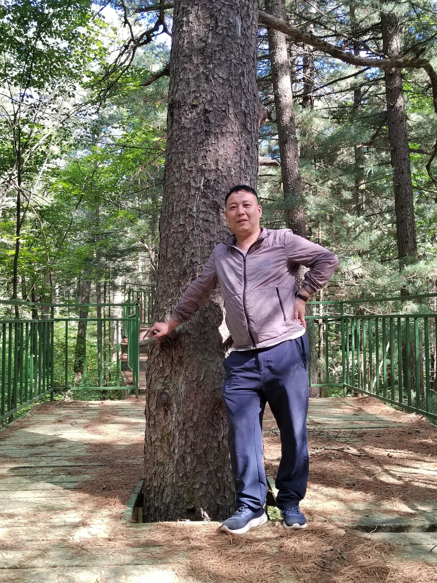 大沾河国家森林公园旅行图片 3