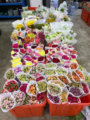 天天鲜花惠州店