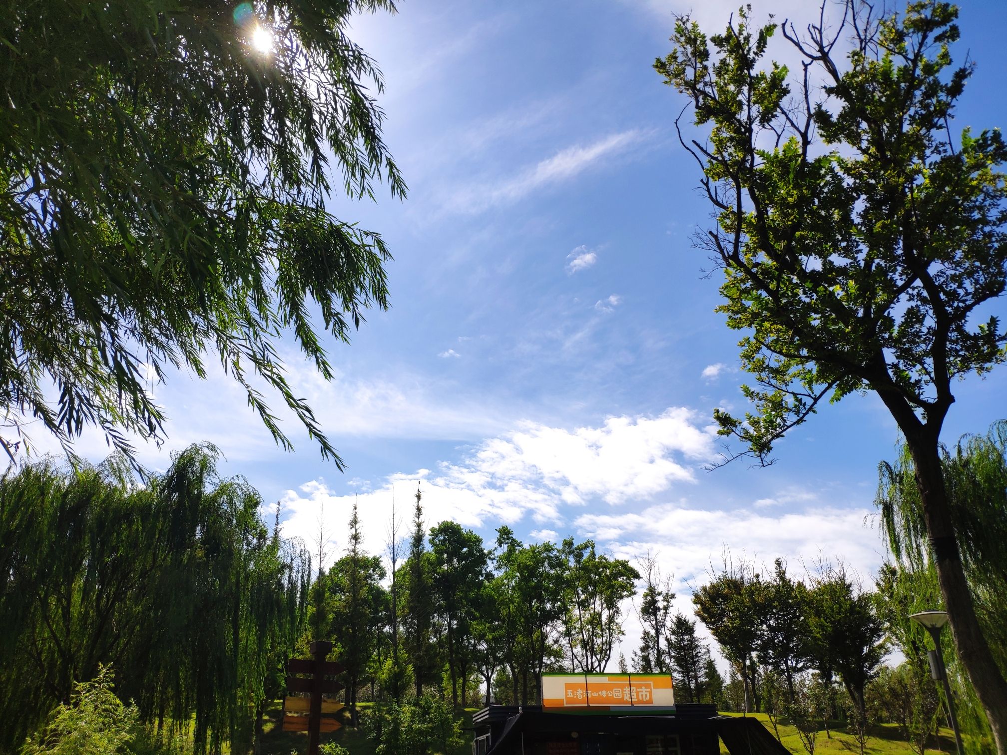 五渚河公园旅行图片 3