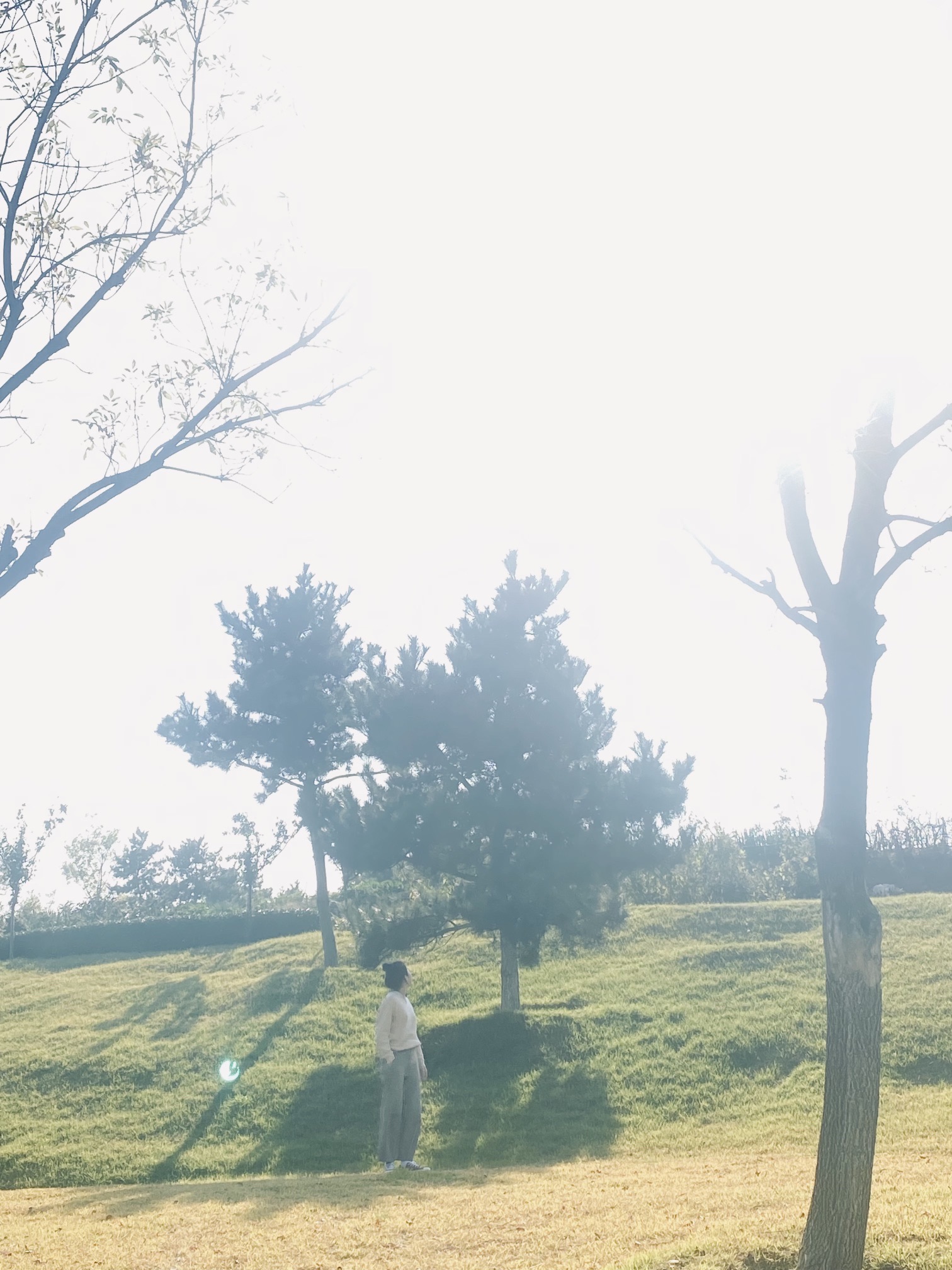 五渚河公园旅行图片 1
