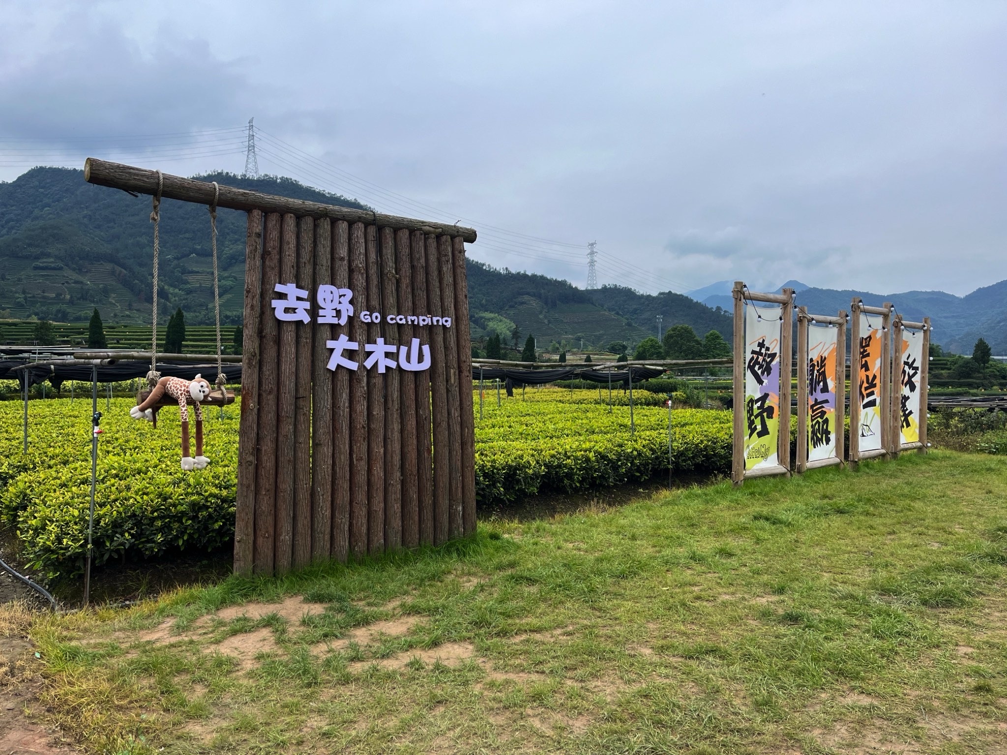 大木山茶园景区旅行图片 2