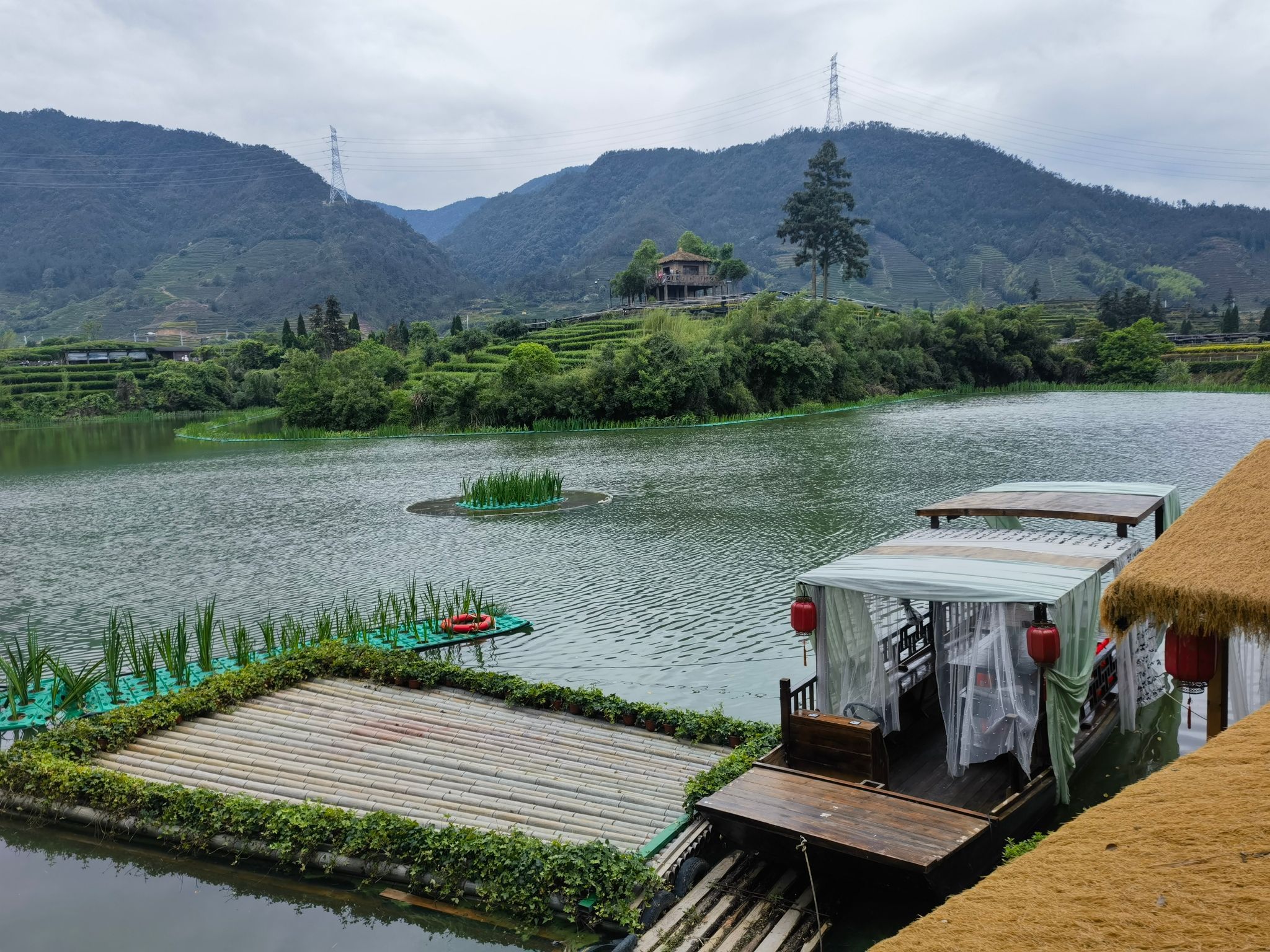 大木山茶园景区旅行图片 2