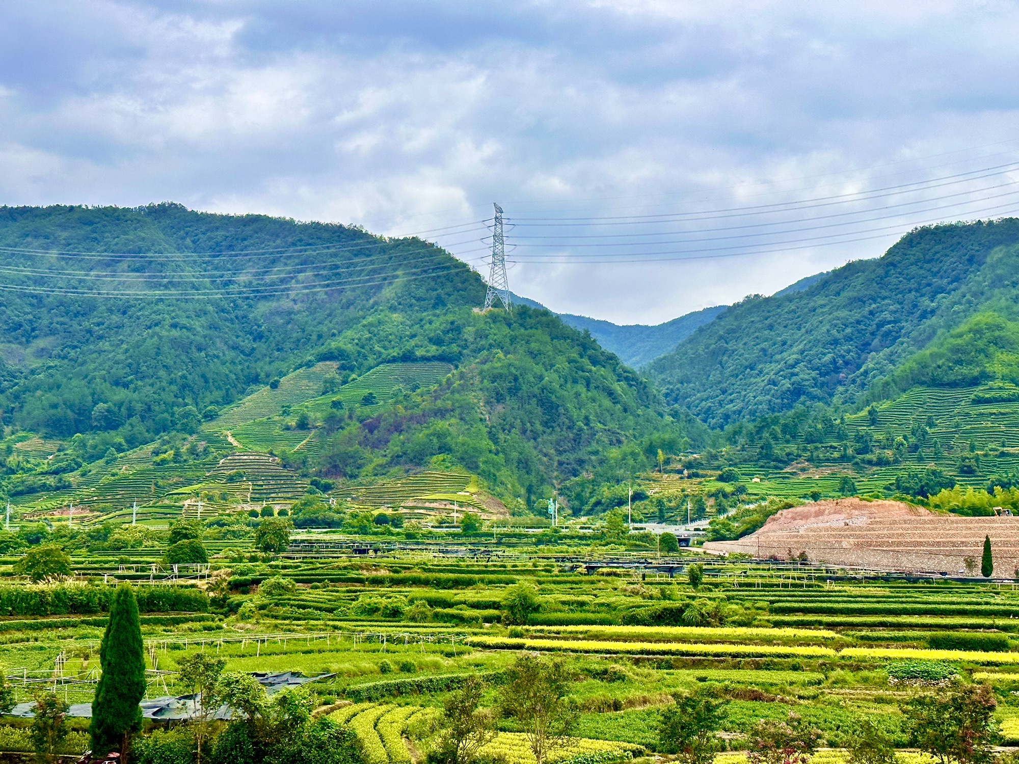 大木山茶园景区