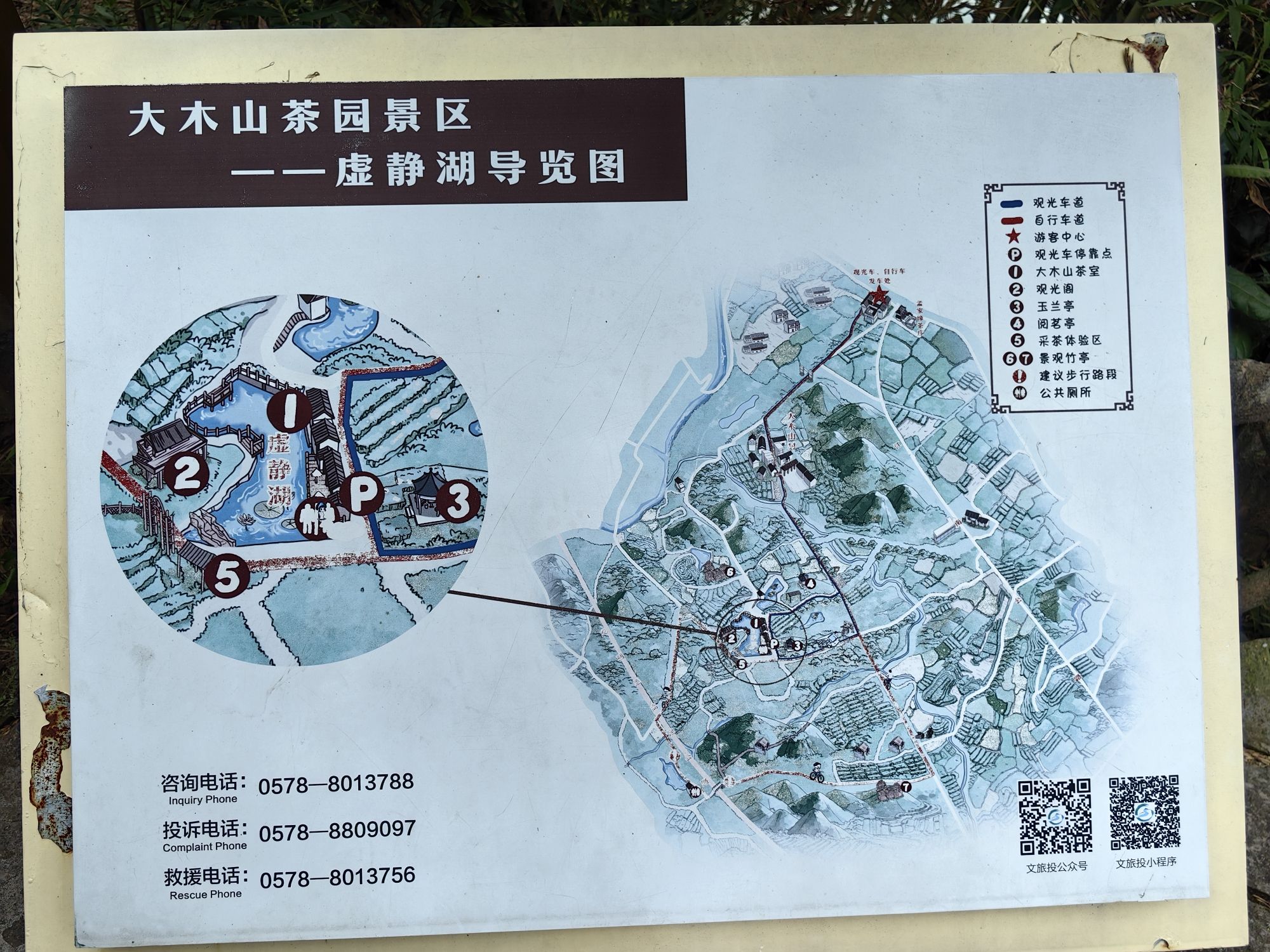 大木山茶园景区旅行图片 3