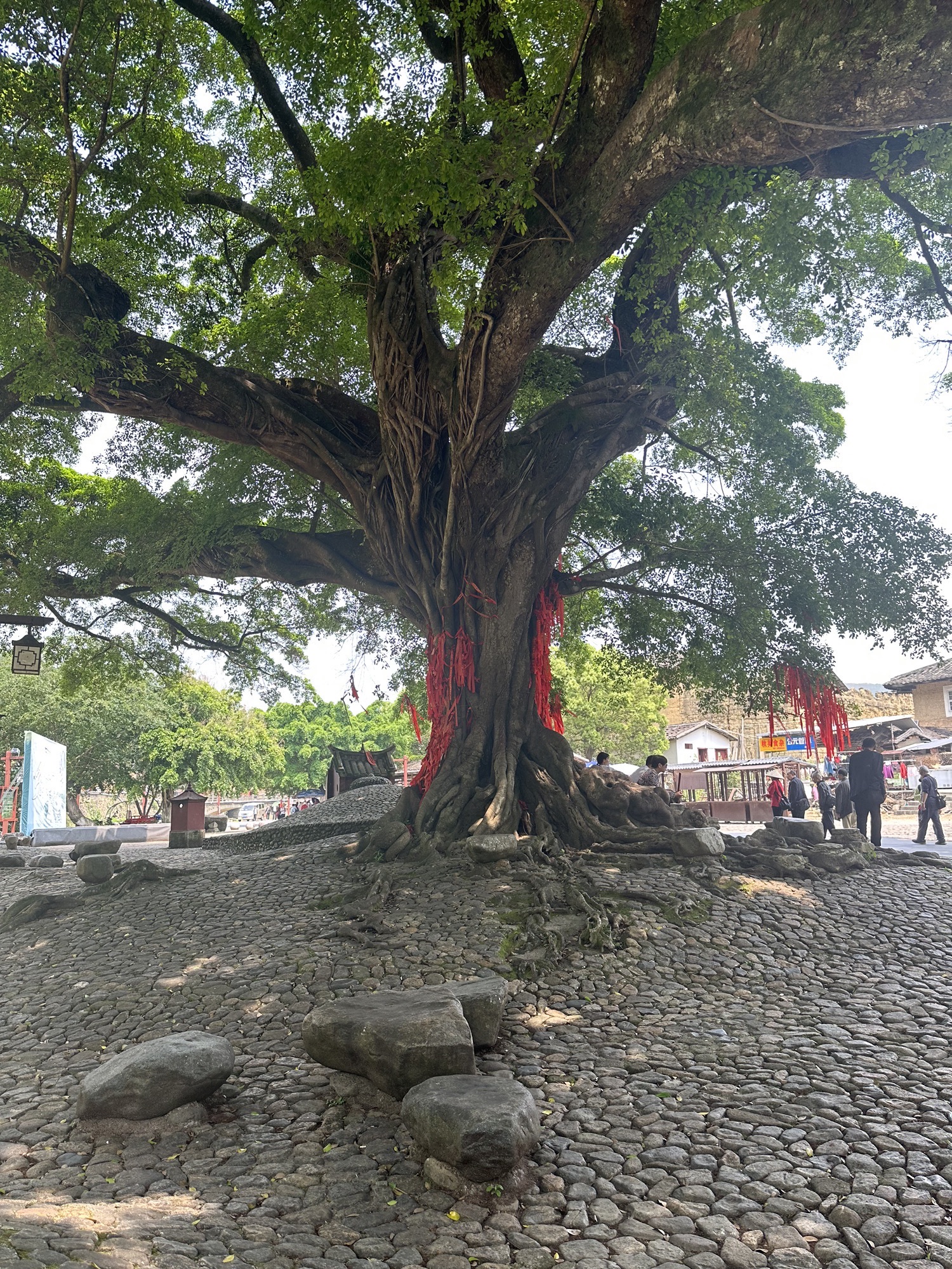 福建土楼客家民俗文化村旅行图片 3
