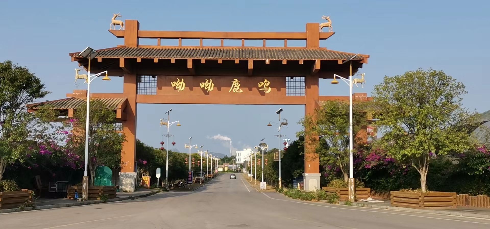查比花海旅行图片 2
