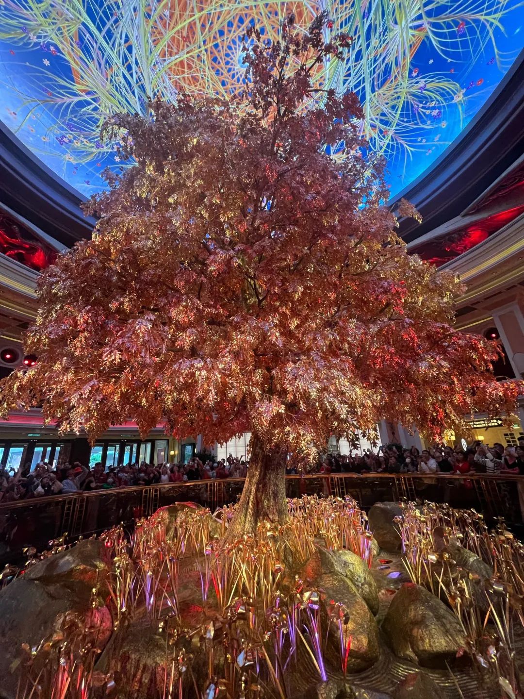 澳门永利音乐喷泉