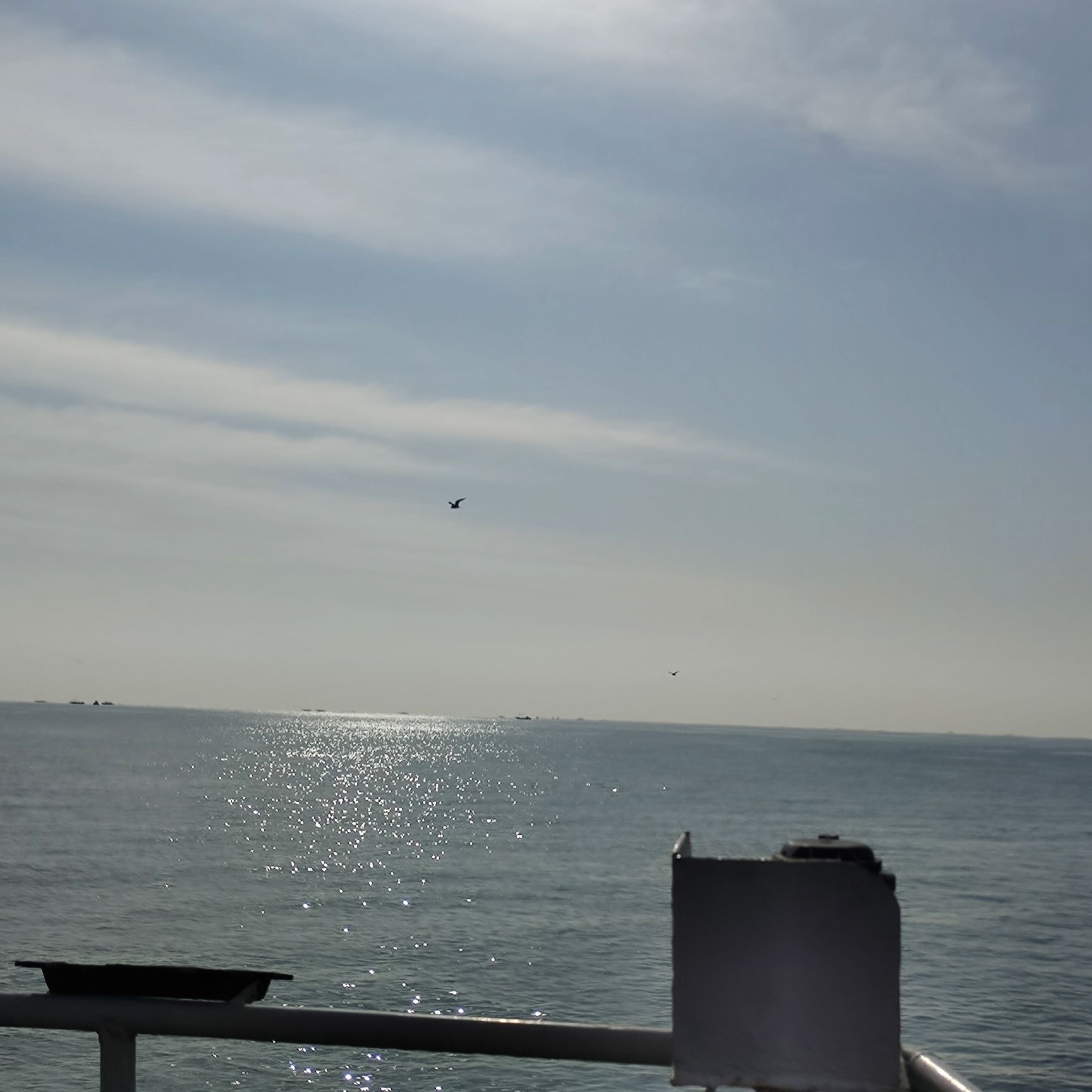 梦之湾海上观光渔政码头旅行图片 3