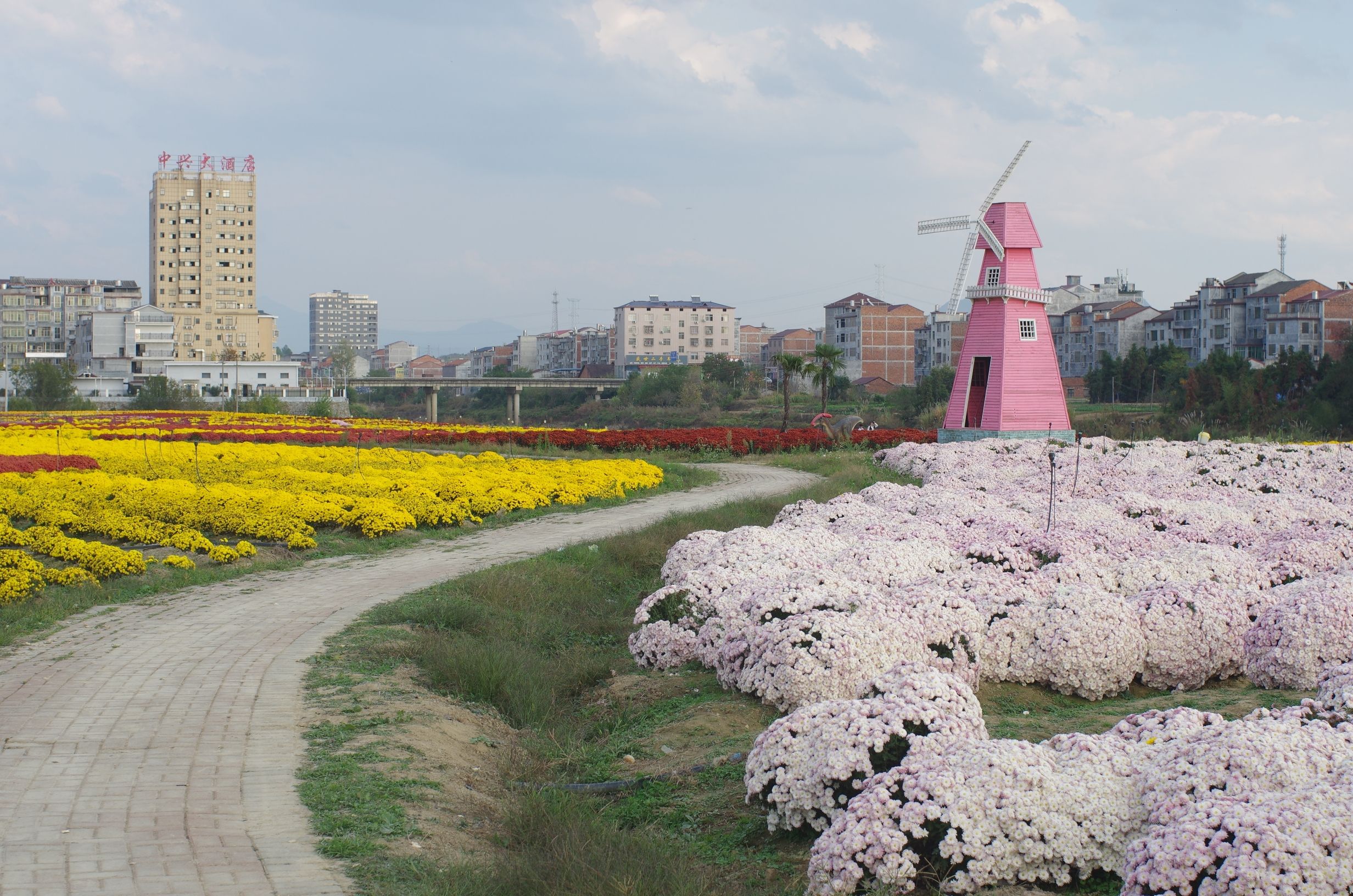 临湘市菊花博览园(暂停开放)旅行图片 2