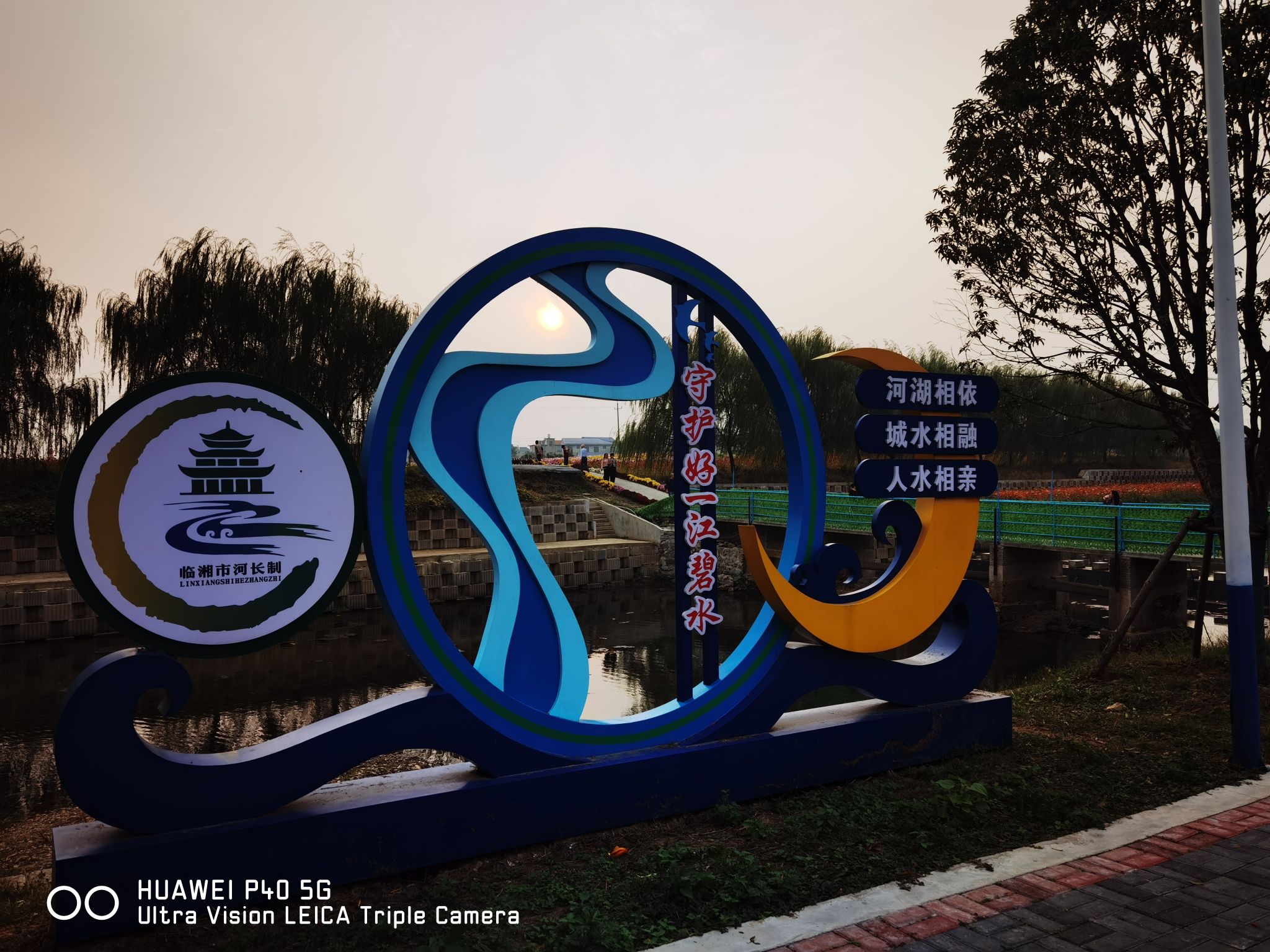 临湘市菊花博览园(暂停开放)旅行图片 1