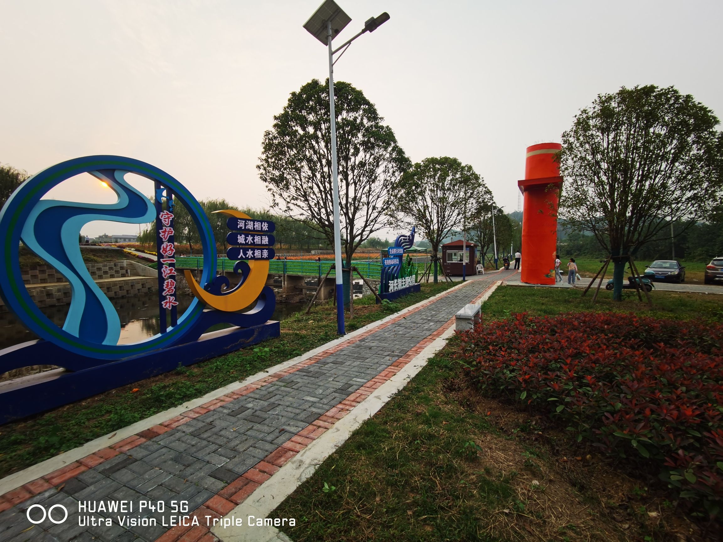 临湘市菊花博览园(暂停开放)旅行图片 2