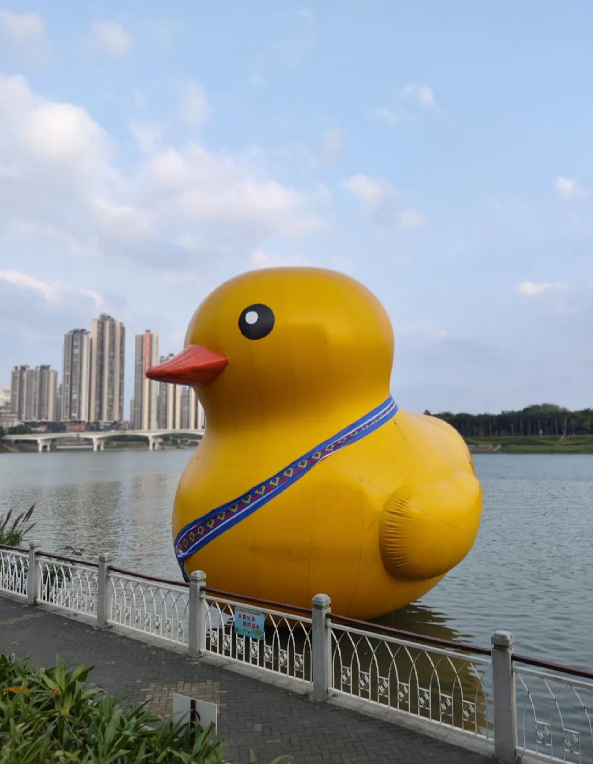 邕江夜游旅行图片 2
