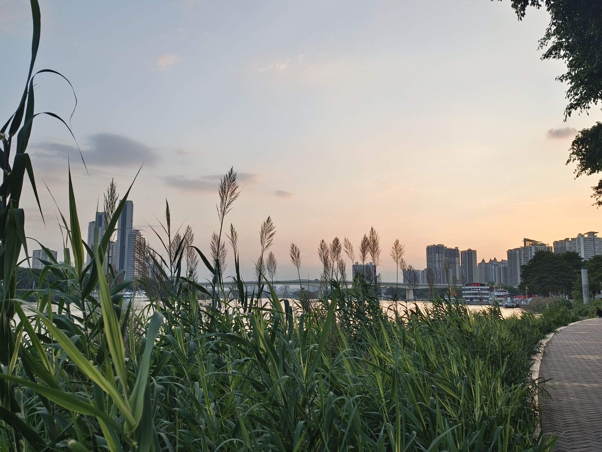 邕江夜游