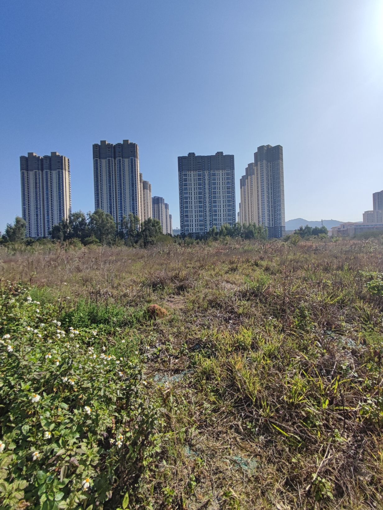 多彩西湾公园旅行图片 1