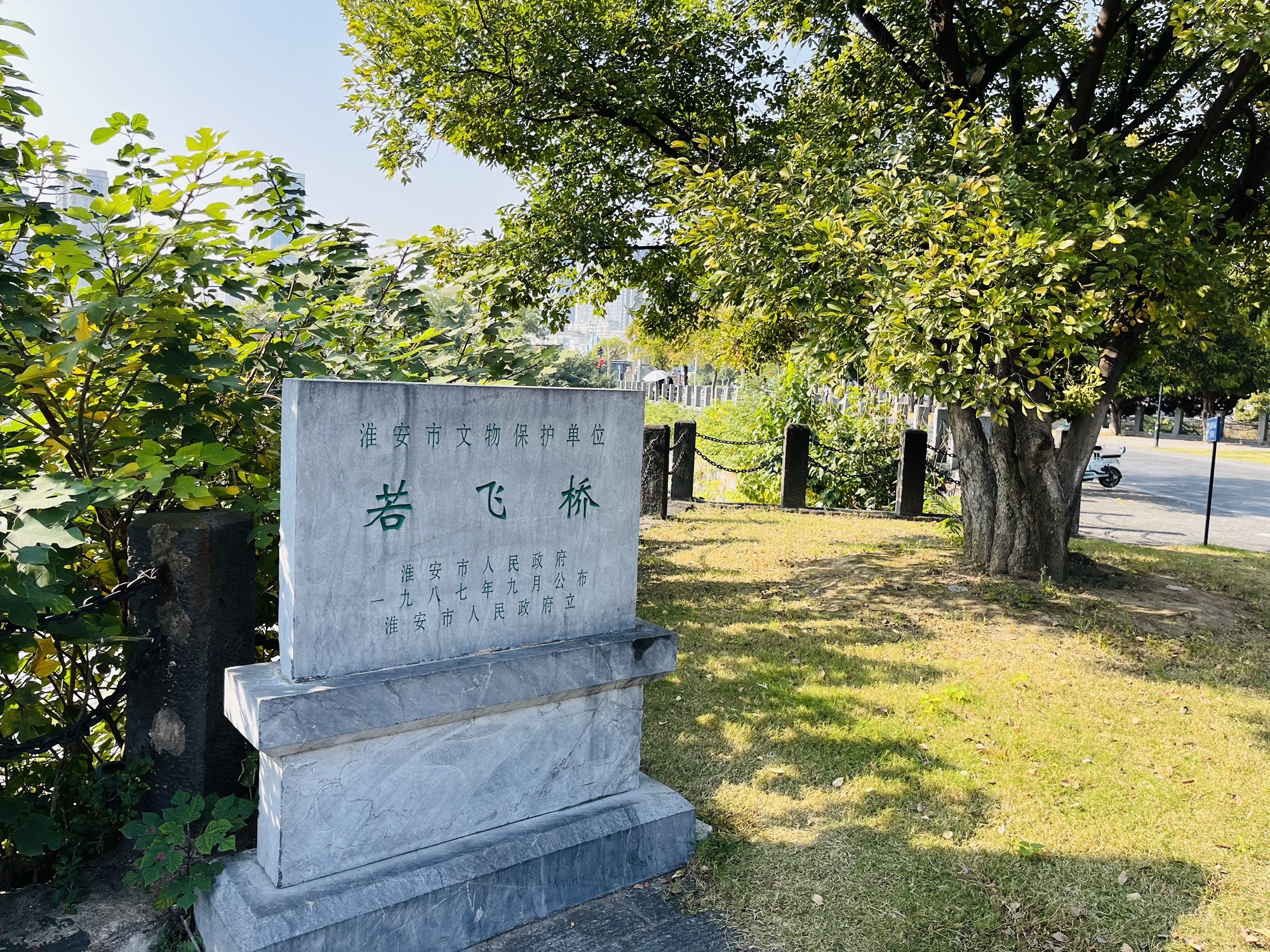 若飞桥旅行图片 2