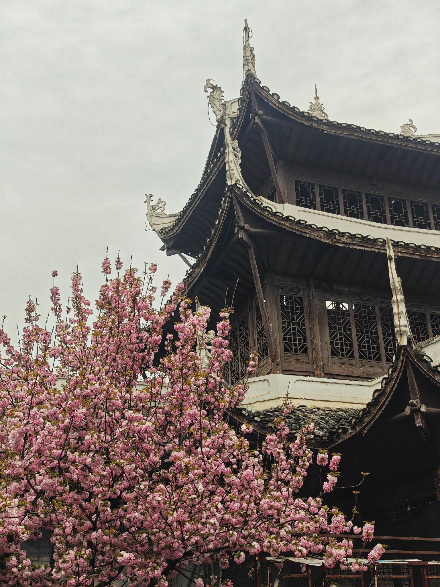 大阁山公园