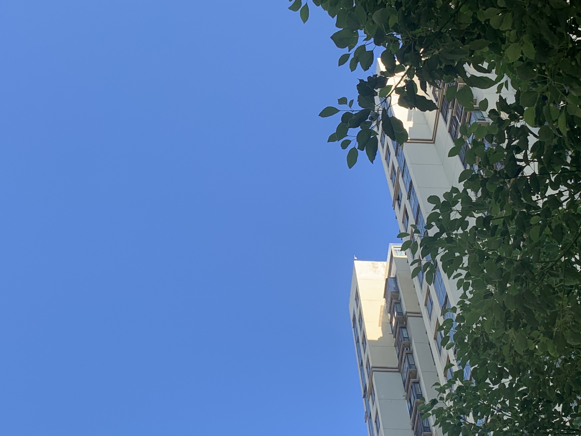 重固老街旅行图片 1